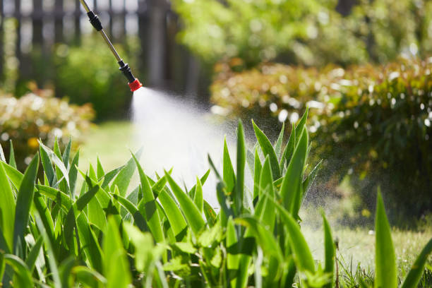 24/7 Emergency Wasp Removal experts in Findlay, OH